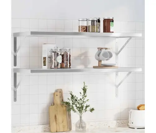 Sienas Plaukti, 2 Gab., 100X40X3 Cm, Sudraba Krāsā, Tērauds Vidaxl