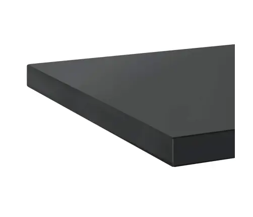 Sienas Plaukti, 2 Gab., 50X40X3 Cm, Nerūsējošs Tērauds, Melna Vidaxl