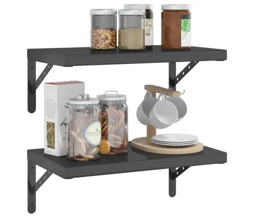 Sienas Plaukti, 2 Gab., 50X30X3 Cm, Nerūsējošs Tērauds, Melna Vidaxl