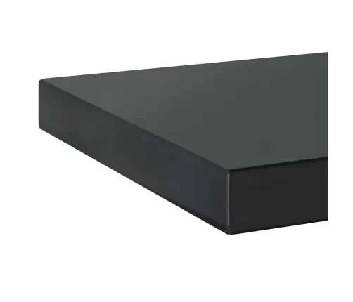 Sienas Plaukti, 2 Gab., 50X23,5X3 Cm, Nerūsējošs Tērauds Melna Vidaxl