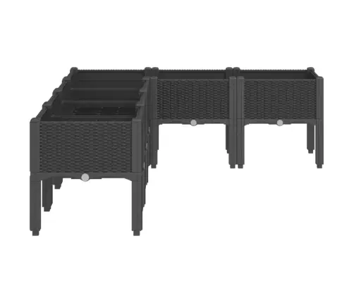 Sodo Lovelis Su Kojomis, Juodos Spalvos, 160X120X42cm Pp