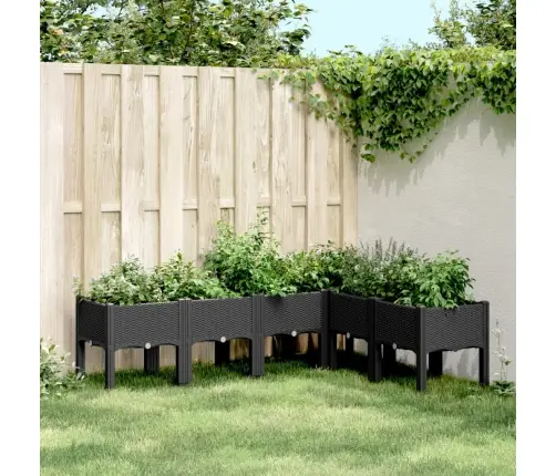 Sodo Lovelis Su Kojomis, Juodos Spalvos, 160X120X42cm Pp