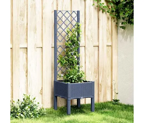 Sodo Lovelis Su Treliažu, Melsvai Pilkos Spalvos, 40X40X142cm Pp