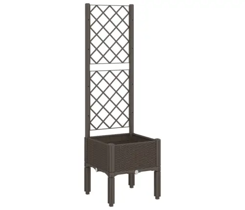 Sodo Lovelis Su Treliažu, Rudos Spalvos, 40X40X142cm Pp