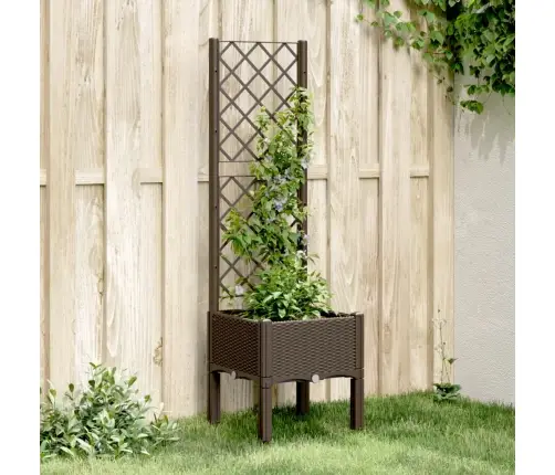 Sodo Lovelis Su Treliažu, Rudos Spalvos, 40X40X142cm Pp