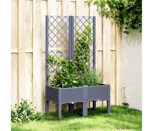 Sodo Lovelis Su Treliažu, Melsvai Pilkos Spalvos, 80X40X142cm Pp