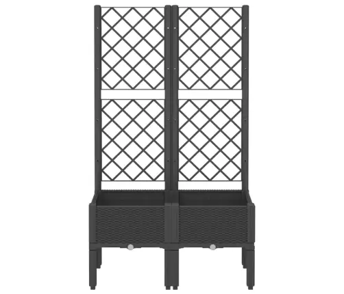 Võrega Taimekast, Must, 80X40X142 cm Pp