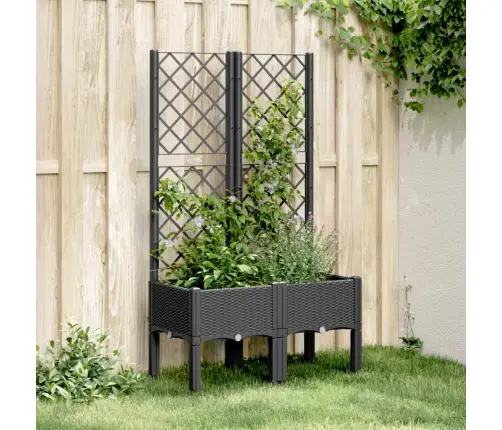 Võrega Taimekast, Must, 80X40X142 cm Pp