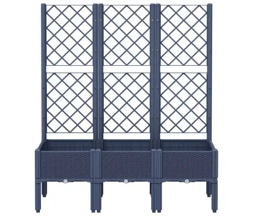 Dārza Puķu Kaste Ar Špaleru, Zili Pelēka, 120X40X142 Cm, Pp Vidaxl