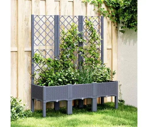 Dārza Puķu Kaste Ar Špaleru, Zili Pelēka, 120X40X142 Cm, Pp Vidaxl
