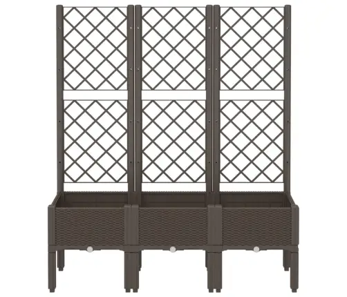 Sodo Lovelis Su Treliažu, Rudos Spalvos, 120X40X142cm Pp