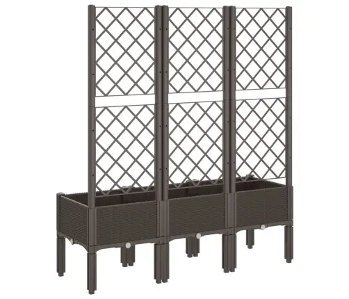 Sodo Lovelis Su Treliažu, Rudos Spalvos, 120X40X142cm Pp