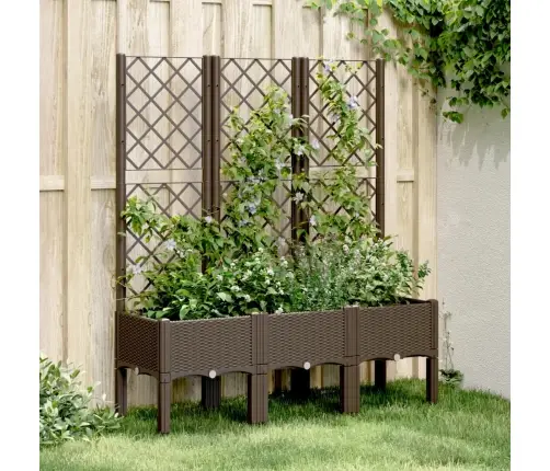 Sodo Lovelis Su Treliažu, Rudos Spalvos, 120X40X142cm Pp