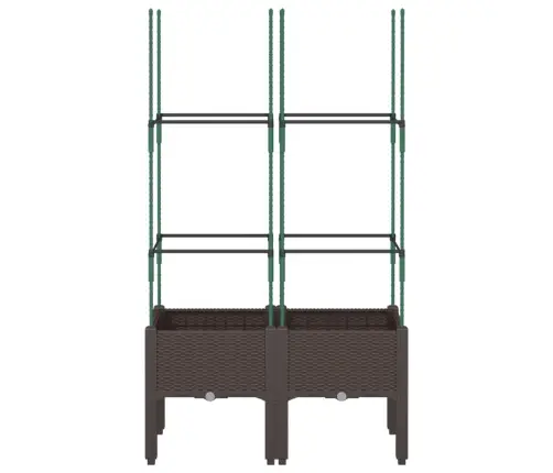 Sodo Lovelis Su Treliažu, Rudos Spalvos, 80X40X142,5cm Pp