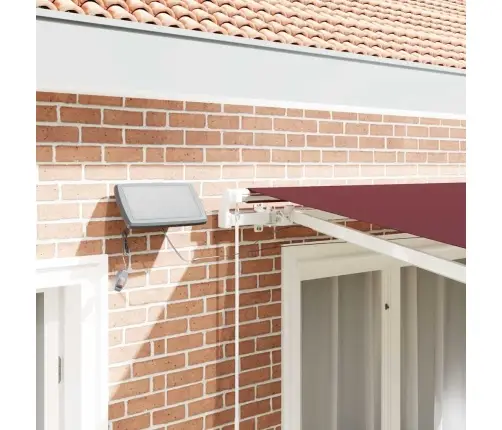 Rankiniu Būdu Ištraukiama Markizė Su Led, Bordo, 300X250Cm