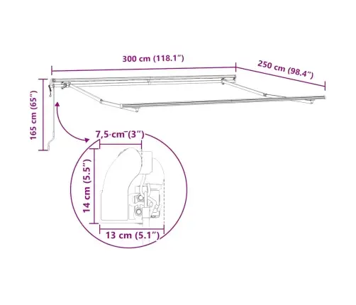 Automatinė Ištraukiama Markizė, Antracito Ir Balta, 300X250Cm