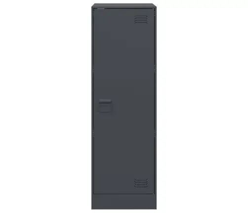 Puhvetkapp, Antratsiit, 34,5X39X107 cm Teras