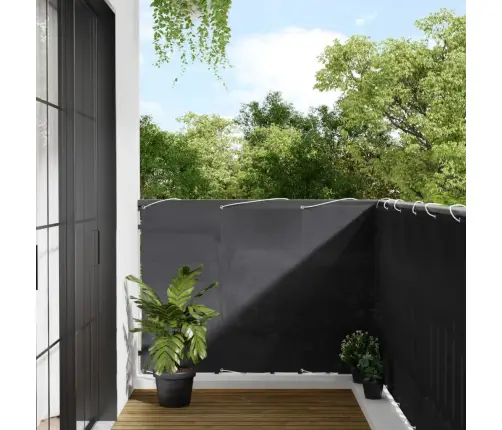 Balkona Aizslietnis, Antracītpelēks, 120X800Cm, 100% Poliestera Vidaxl