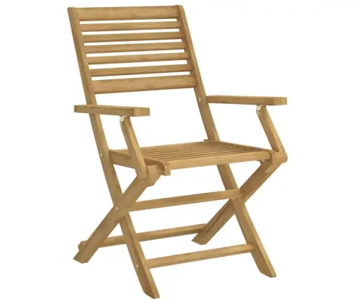 Sulankstomos Sodo Kėdės, 4Vnt., 54,5X61,5X86,5cm Akacija Sulankstomos Sodo Kėdės, 4Vnt., 54,5X61,5X86,5cm Akacija