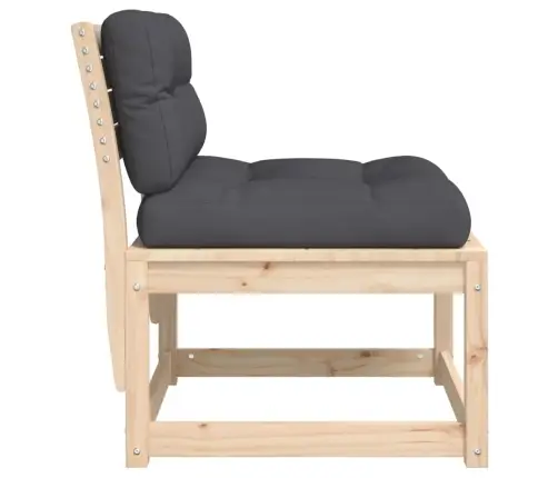 Sodo Sofos Dalys Su Pagalvėlėmis, 2Vnt., Pušies Masyvas