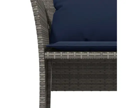 Dārza Krēsls Ar Soliņu, Pelēka Pe Rotangpalma Vidaxl