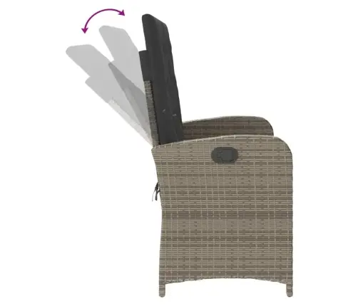 Atgāžams Dārza Krēsls Ar Matračiem, Pelēka Pe Rotangpalma Vidaxl