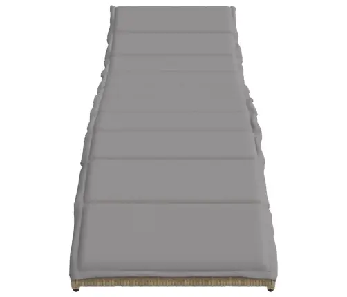 Lamamistoolid 2 Tk, Lauaga, Beež, Polürotang