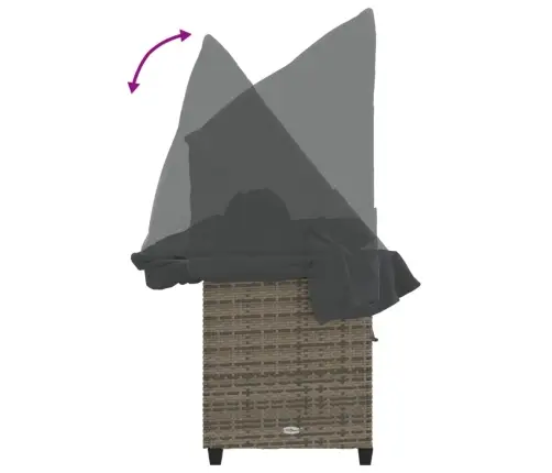 Päevitustool Koos Varikatuse Ja Patjadega, Hall, Polürotang