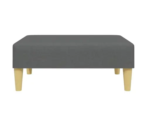 2-Vietīga Dīvāngulta Ar Kāju Balstu, Tumši Pelēks Audums Vidaxl