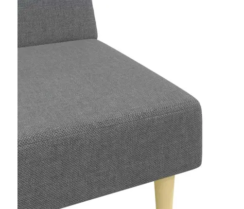 2-Vietīga Dīvāngulta Ar Kāju Balstu, Tumši Pelēks Audums Vidaxl