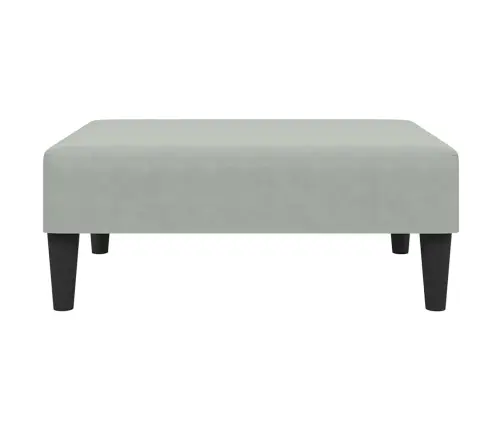 2-Vietīga Dīvāngulta Ar Kāju Balstu, Gaiši Pelēks Samts Vidaxl