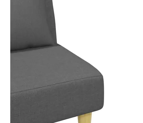 2-Vietīga Dīvāngulta Ar Spilveniem Un Kāju Balstu, Tumši Pelēks Vidaxl