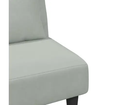 2-Osaline Diivanikomplekt Patjadega, Helehall, Samet