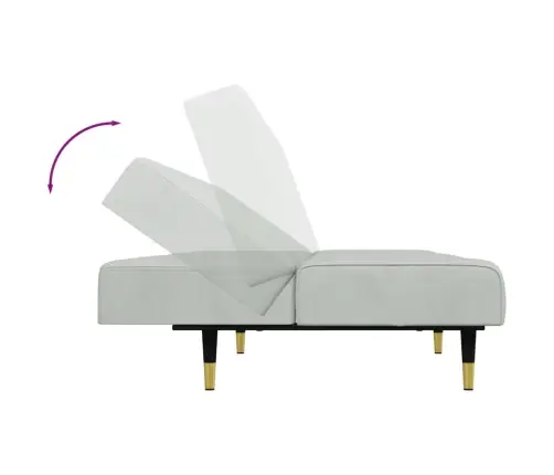 Divdaļīgs Dīvānu Komplekts, Gaiši Pelēks Samts Vidaxl