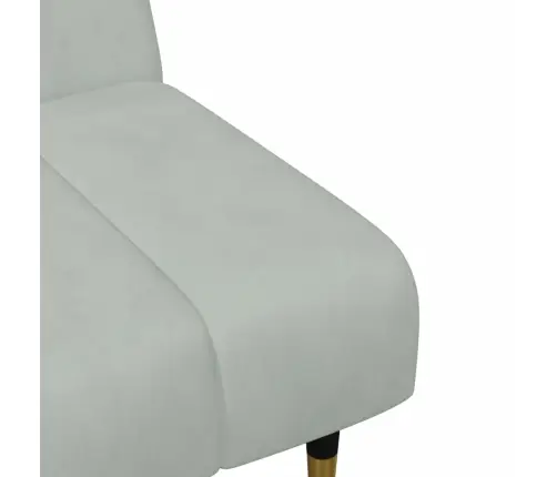 Divdaļīgs Dīvānu Komplekts, Gaiši Pelēks Samts Vidaxl