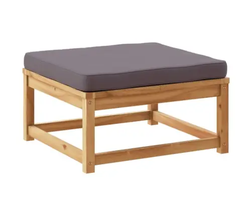 3-Osaline Aiamööbli Komplekt Patjadega, Akaatsiapuit Vidaxl