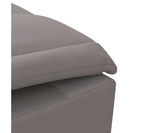 Masažinis Poilsio Gultas Su Ilga Pagalve, Taupe, Audinys