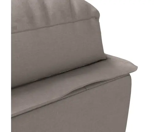 Zvilnis Ar Spilveniem, Pelēkbrūns, Audums Vidaxl