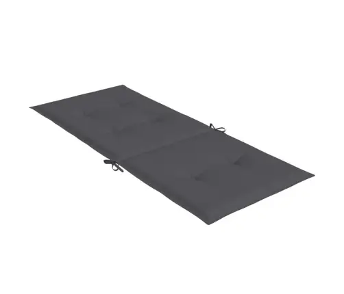 Dārza Krēslu Spilveni, 2 Gab., Antracītpelēki, 120X50X4 Cm Vidaxl