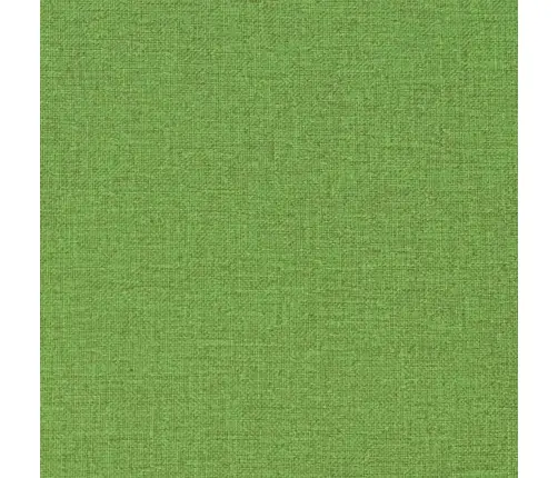 Päevitustooli Istmepadi, Roheline, (75+105) X 50 X 4 cm Kangas