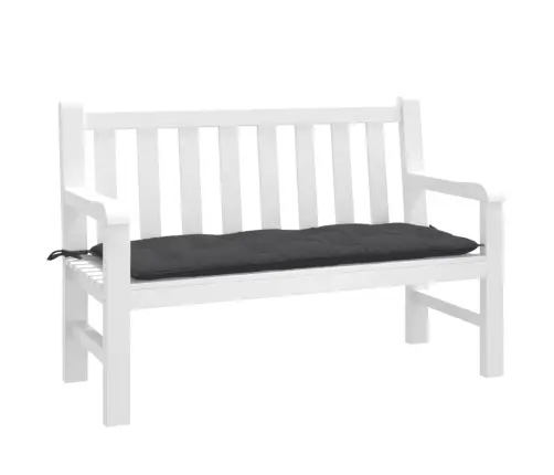 Aiapingi Istmepadi, Antratsiithall, 120X50X7 cm Kangas