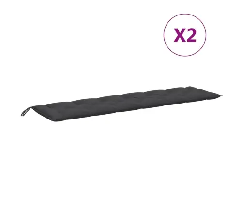 Aiapingi Istmepadjad 2 Tk, Antratsiithall, 200X50X7 cm Kangas