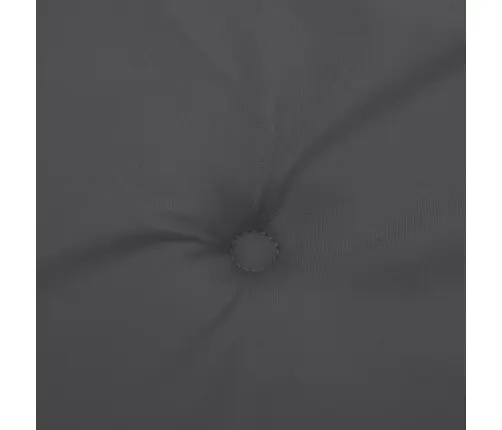 Aiapingi Istmepadjad 2 Tk, Antratsiithall, 200X50X7 cm Kangas