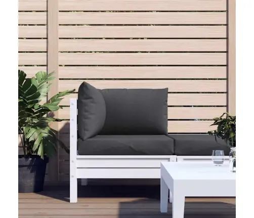 Palešu Spilveni, 3 Gab., Audums, Antracītpelēks Vidaxl