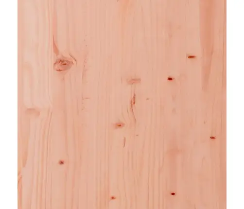 Dārza Galds, 100X50X75 Cm, Duglasa Egles Masīvkoks Vidaxl