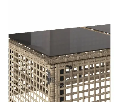 4-Osaline Aiadiivani Komplekt Patjadega, Beež, Polürotang/Klaas