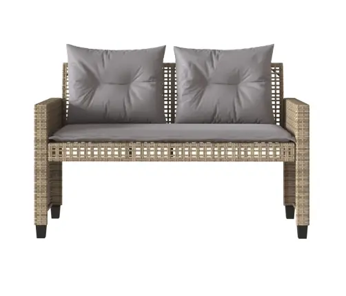 4-Osaline Aiadiivani Komplekt Patjadega, Beež, Polürotang/Klaas