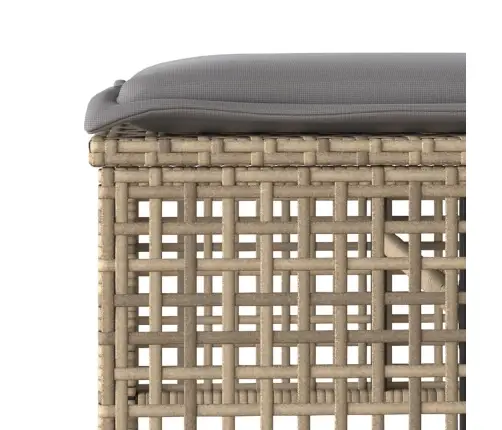 4-Osaline Aiadiivani Komplekt Patjadega, Beež, Polürotang/Klaas