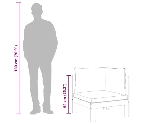 2-Daļīgs Dārza Dīvāna Komplekts Ar Spilveniem, Akācijas Koks Vidaxl