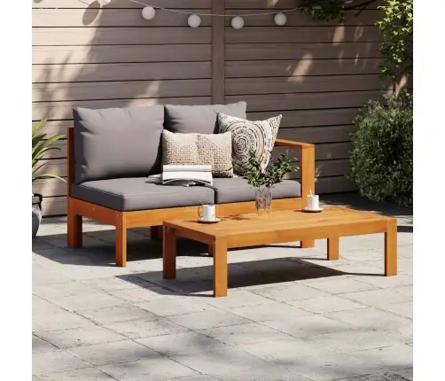 Divvietīgs Dārza Dīvāns Ar 1 Roku Balstu, Akācijas Masīvkoks Vidaxl